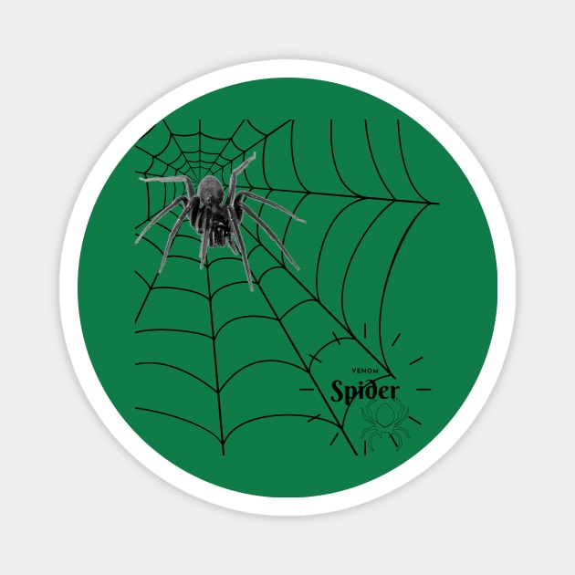 Spider web Magnet by JeDrin